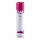 ICEE600